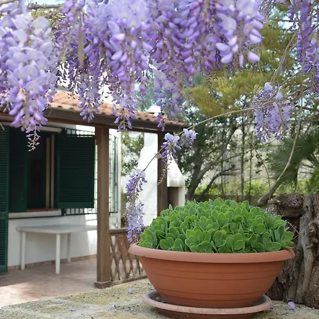 Apartment Fior Di Loto Baia