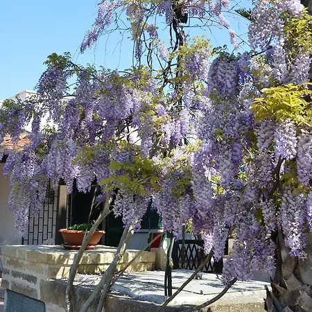 Apartment Fior Di Loto Baia